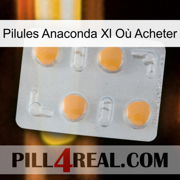 Pilules Anaconda Xl Où Acheter 24.jpg